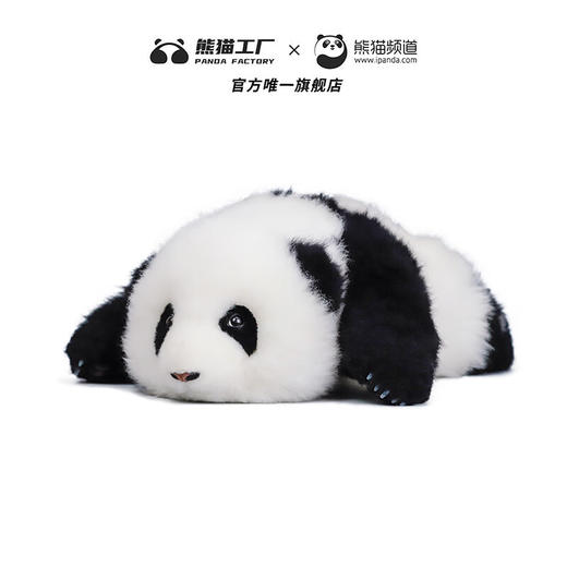 熊猫工厂 仿真熊猫玩偶 3月龄 和花 仿真熊猫玩偶情人节礼物可爱儿童毛绒玩具公仔 熊猫基地硅凝胶款 长42*宽38*高18 商品图5