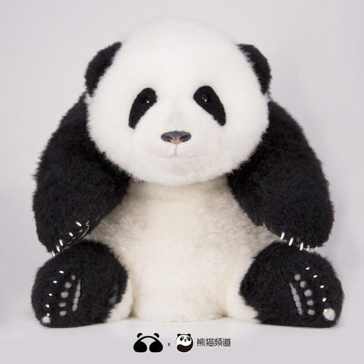 熊猫工厂 仿真熊猫玩偶 5月龄 和花 花花公仔仿真熊猫玩偶送女友情人节礼物可爱儿童毛绒玩具长35*宽35*高38 商品图2