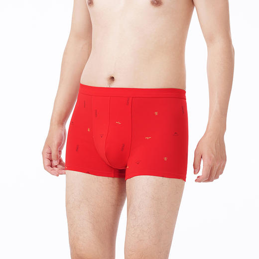 都市丽人都市锋尚内裤日常休闲平角裤50S棉拉架男士内裤FKTCF8 商品图2