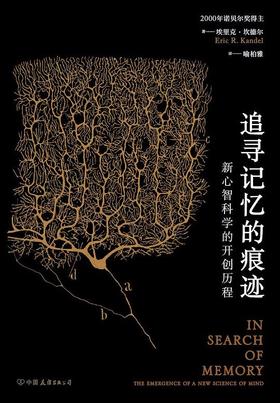 追寻记忆的痕迹