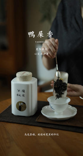  茶的滋味，唤醒身体里的清风明月 