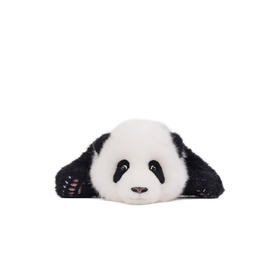 熊猫工厂 仿真熊猫玩偶 3月龄 叶叶 仿真熊猫玩偶送女友情人节礼物可爱儿童毛绒公仔 长48*宽32*17