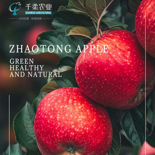 特别推荐！！！【千柔红苹果🍎】❤️    🌿超大红苹果甜蜜，苹果中的极品👍甜度高，清爽不腻，脆爽多汁💦独特浓郁果香，沁人心脾💕单果约410g 商品图5