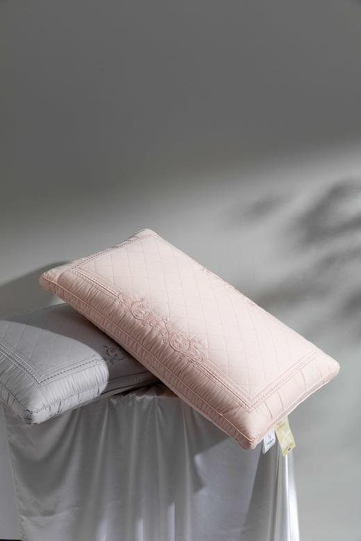 【远梦】纯棉贡缎蚕丝枕 商品图4