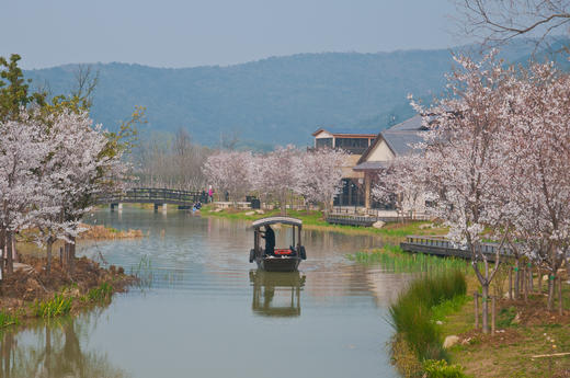 华东5市6日游，住进风景里，一次游览上海+南京+苏州+杭州+乌镇+无锡+海宁，邂逅绝美江南， 商品图8