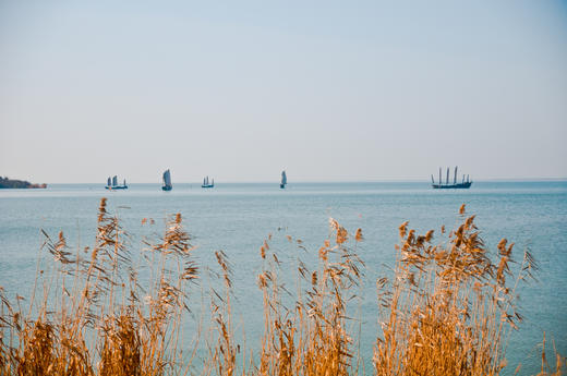 华东5市6日游，住进风景里，一次游览上海+南京+苏州+杭州+乌镇+无锡+海宁，邂逅绝美江南， 商品图7