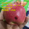 有机早熟苹果瑕疵果（不售后，介意慎拍） | 合作生产 *Organic precocious apple | Coproduction 商品缩略图1