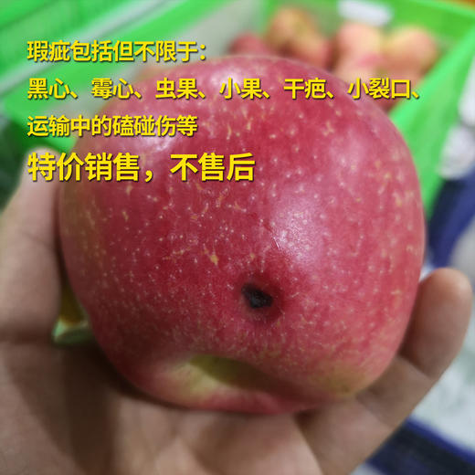 有机早熟苹果瑕疵果（不售后，介意慎拍） | 合作生产 *Organic precocious apple | Coproduction 商品图1