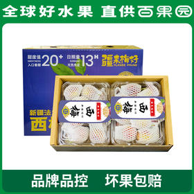 PAGODA百果园  新疆法兰西西梅2斤礼盒装（单果重：20g+）