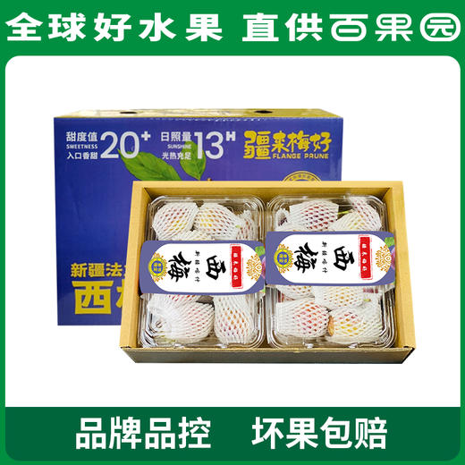 PAGODA百果园  新疆法兰西西梅2斤礼盒装（单果重：20g+） 商品图0