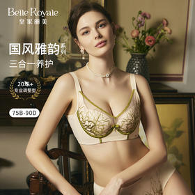 皇家丽美新款国风雅韵系列薄杯文胸记忆软圈大胸显小收副乳WJ2F01-1