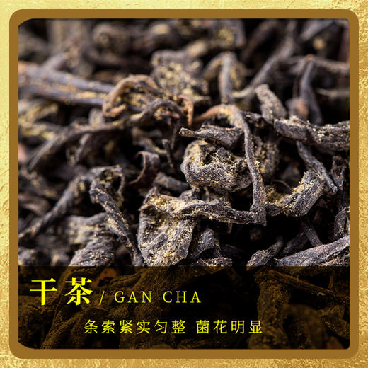 元正创新茶叶益生菌红茶金花冠突散囊菌红茶199.8g礼盒装 商品图2