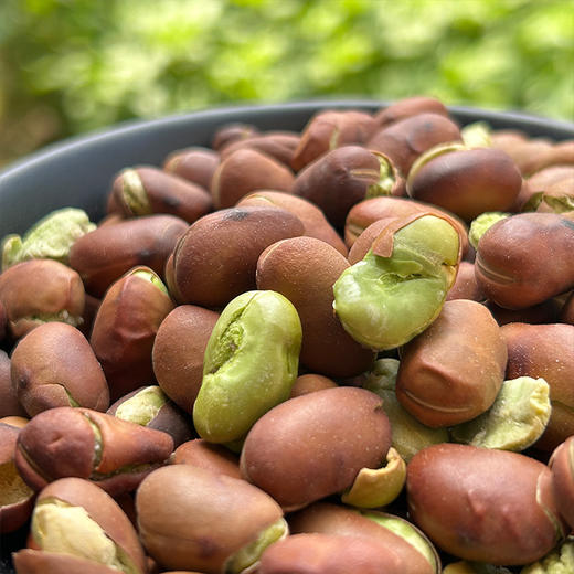 云南特产保山绿心蚕豆无添加原味豆香浓郁炒货休闲馋嘴零食 商品图1