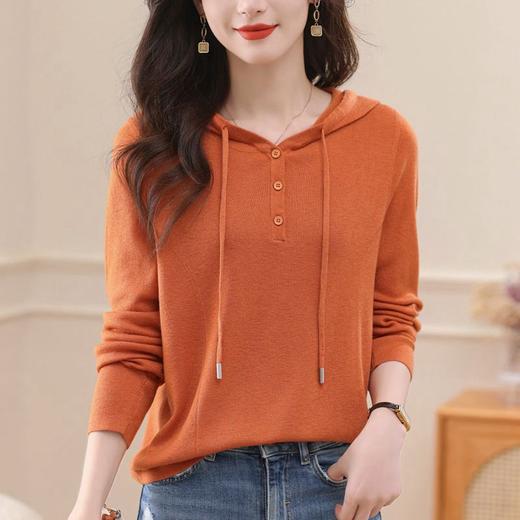 CC-58-8211羊毛衫连帽卫衣女春秋2024新款针织宽松百搭洋气外穿套头打底毛衣 商品图2