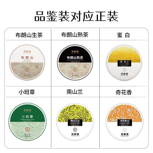 茶鲜森古树茶品鉴装 六种风味小饼茶 生茶 熟茶 白茶 商品图4