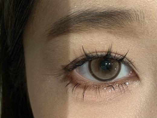 Deerbell•鹿小贝10片装日抛--乌龙茶 商品图4