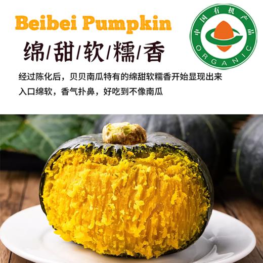 有机贝贝南瓜  甘肃民勤沙地有机种植 商品图1