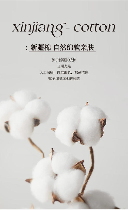 無印优品全棉斜纹四件套-爱诺格 货面 号:MUJI-TJ24-10 商品图2