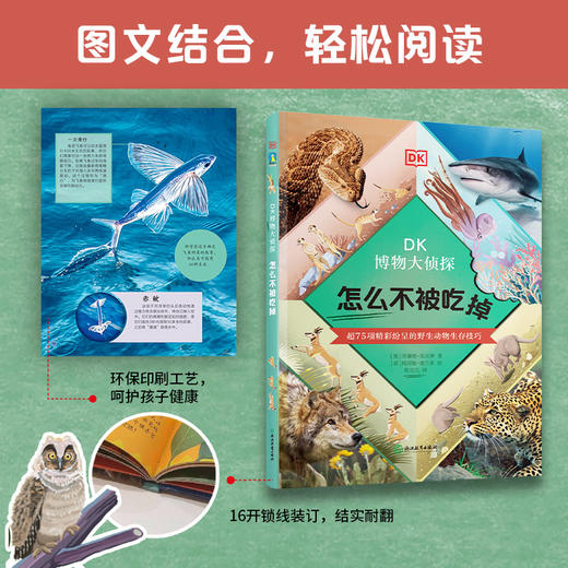 DK博物大侦探.怎么不被吃掉 DK百科全书儿童科普动物童书 商品图2