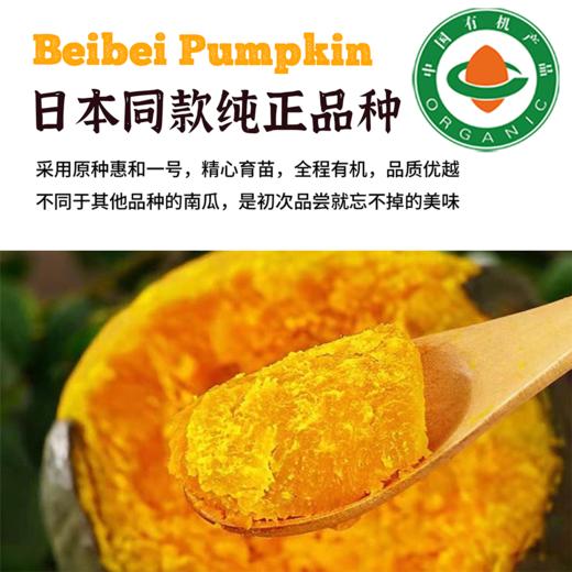 有机贝贝南瓜  甘肃民勤沙地有机种植 商品图3