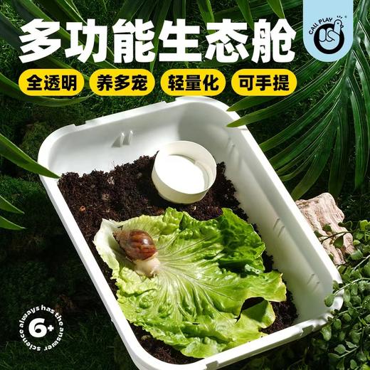 CALLPLAY可答鸭益智玩具 多功能生态舱 寄居蟹 商品图5