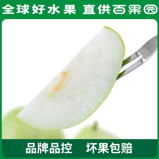 PAGODA百果园 酥梨3斤家庭装（单果径：≥65mm） 商品图3