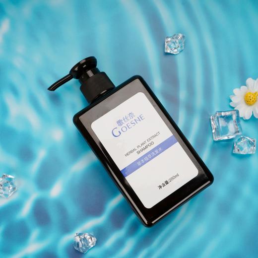 歌丝奈草本植萃茶树精油洗发水 去头屑 控油 富含松油烯280ml/瓶 商品图1