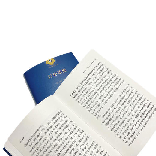行动瑜伽(瑜伽哲学经典丛书) 商品图4
