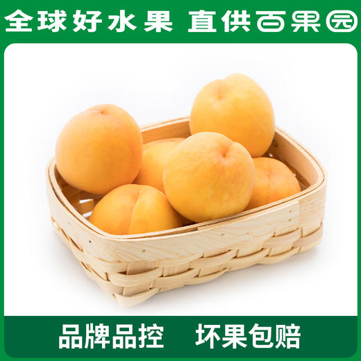 PAGODA百果园  A级-黄桃3斤彩箱装（单果重：200g+） 商品图2