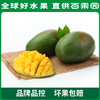 PAGODA百果园 凯特芒果8斤礼盒装（单果重：≥600g） 商品缩略图2