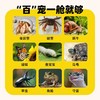 CALLPLAY可答鸭益智玩具 多功能生态舱 寄居蟹 商品缩略图6