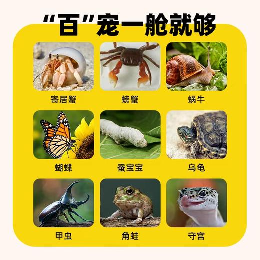 CALLPLAY可答鸭益智玩具 多功能生态舱 寄居蟹 商品图6