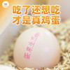 蛋泉生态 鸡蛋 商品缩略图0