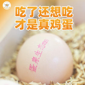 蛋泉生态 鸡蛋