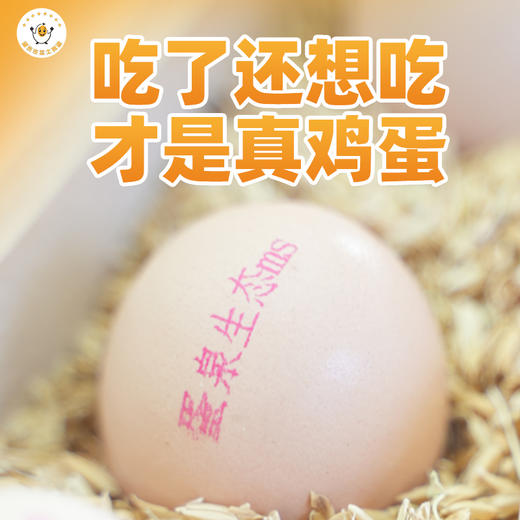 蛋泉生态 鸡蛋 商品图0