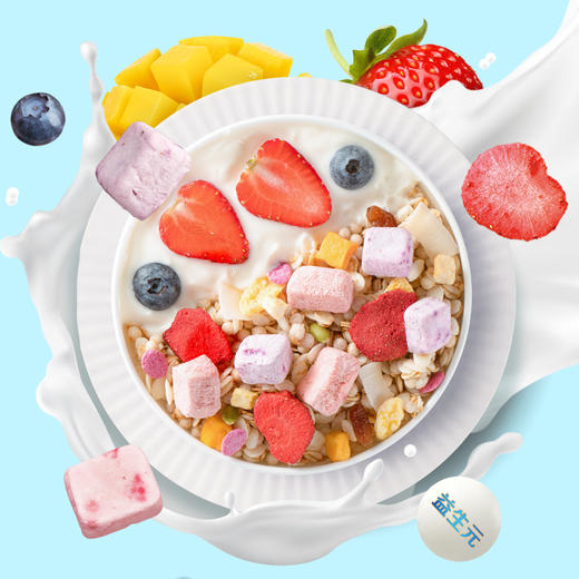 【麦麦SY】每日酸奶水果麦片400g/元气早餐 商品图2