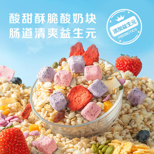 【麦麦SY】每日酸奶水果麦片400g/元气早餐 商品图1