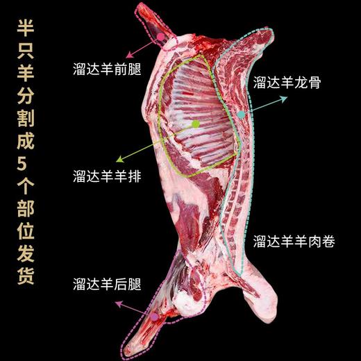 蒙元星奕 精选新鲜草原半羊 约9.5-10斤 商品图2