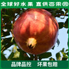 PAGODA百果园  招牌-红钻软籽甜石榴6粒礼盒装（果王 单果重：≥550g） 商品缩略图3