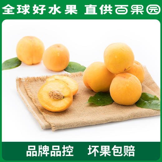 PAGODA百果园  A级-黄桃3斤彩箱装（单果重：200g+） 商品图1