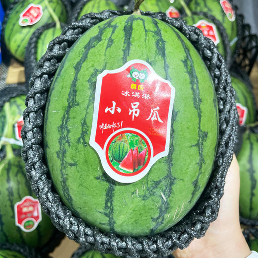【酥脆爽口】小吊西瓜 约1500g/个 商品图0