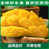 PAGODA百果园 凯特芒果8斤礼盒装（单果重：≥600g） 商品缩略图4