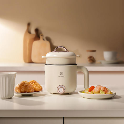 伊莱克斯EGSC5110 多功能电煮锅 商品图1