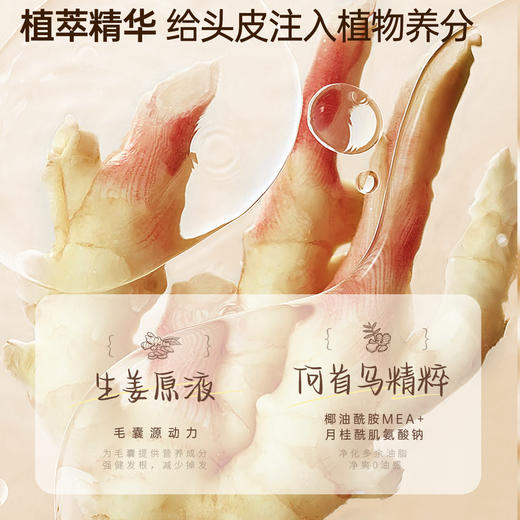 儒意·生姜防脱育发洗发水 | 专业防脱认证， 一洗防脱 商品图5