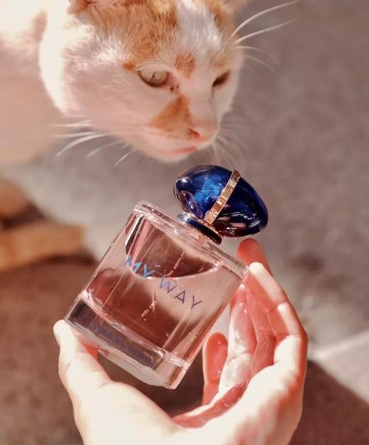 法国原香水90ml阿玛 商品图7