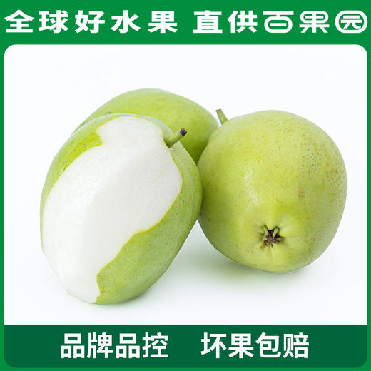 PAGODA百果园 酥梨3斤家庭装（单果径：≥65mm） 商品图1