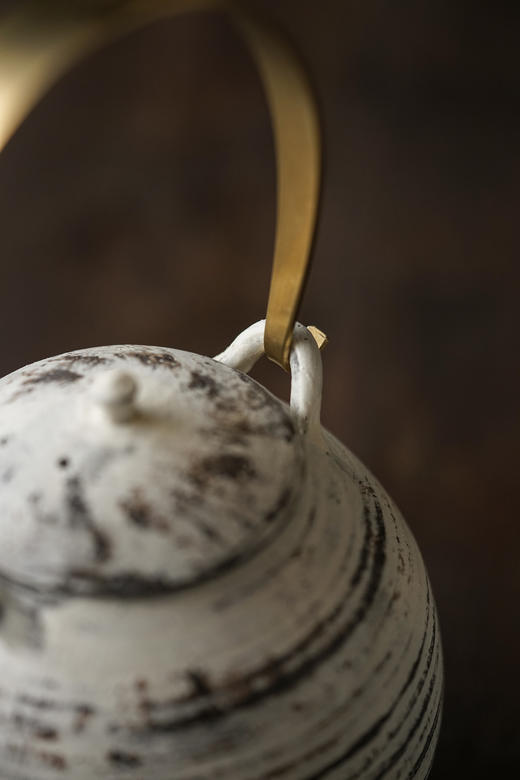 大泽哲哉13壶 商品图2