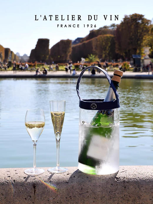 法国L'Atelier du Vin透明PVC便携葡萄酒冰酒袋 户外快速降温冰桶 商品图0