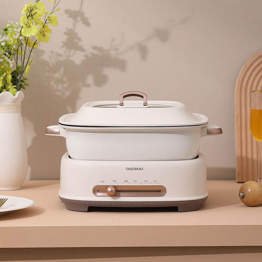 大宇电火锅DYZG-6L16暖阳白 商品图1