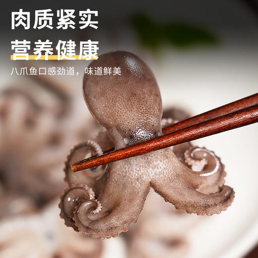 小章鱼｜新鲜八爪鱼 300g/袋 鲜活冷冻小章鱼迷 你短腿八爪鱼【不花心】 商品图3